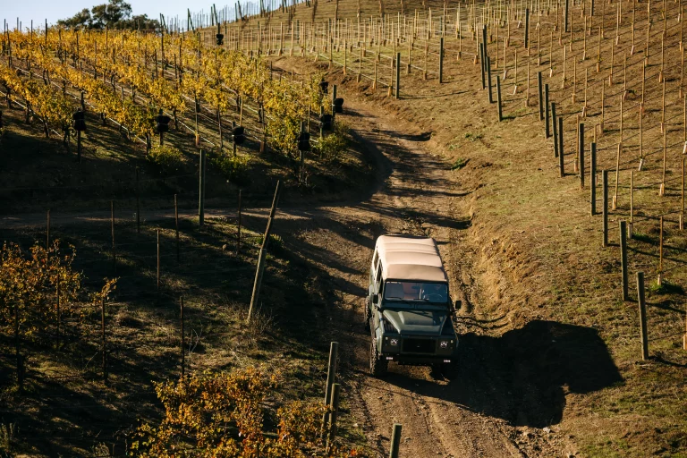 malibu wine safari giraffe tour