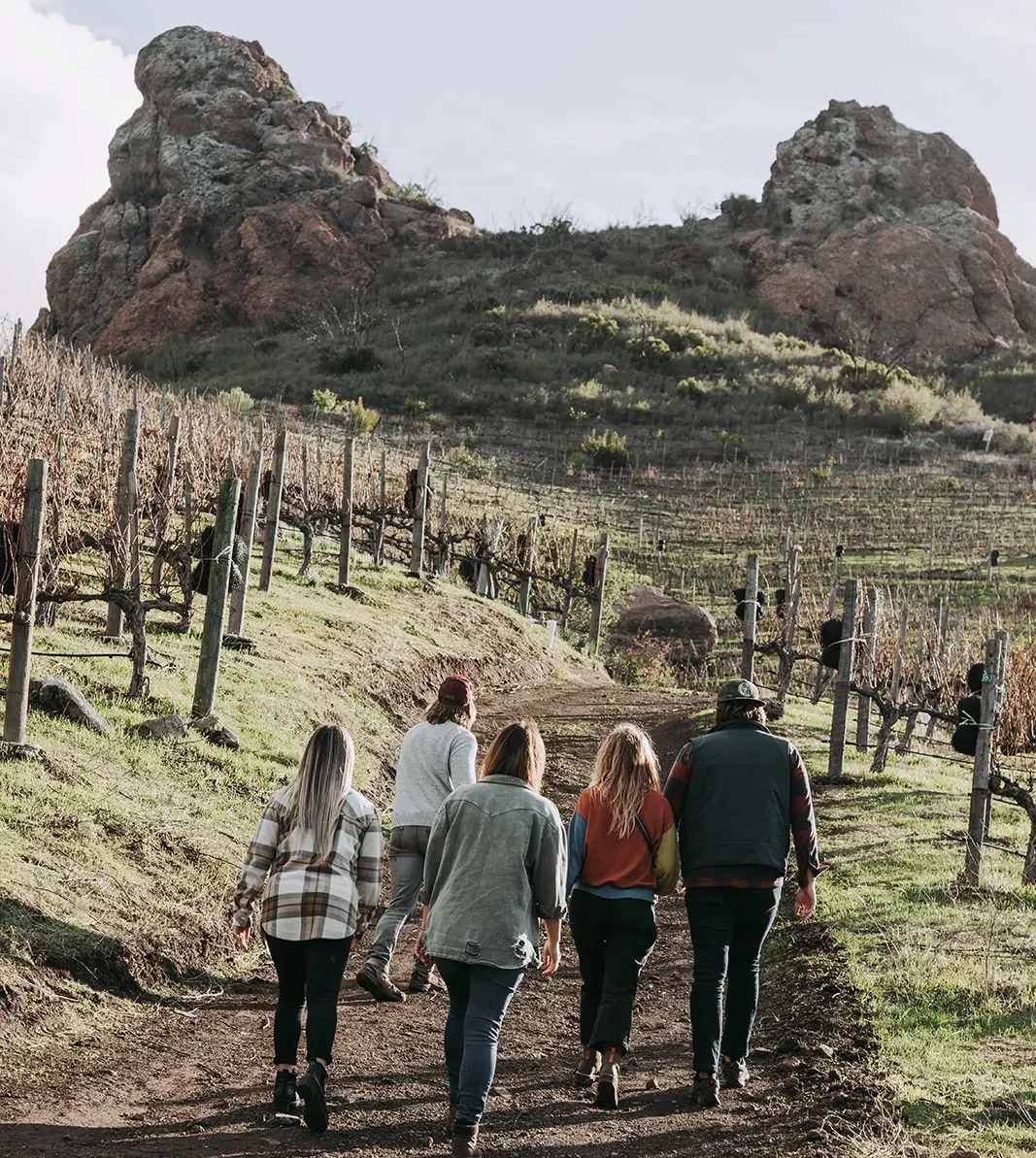corporate-group-wine-hike