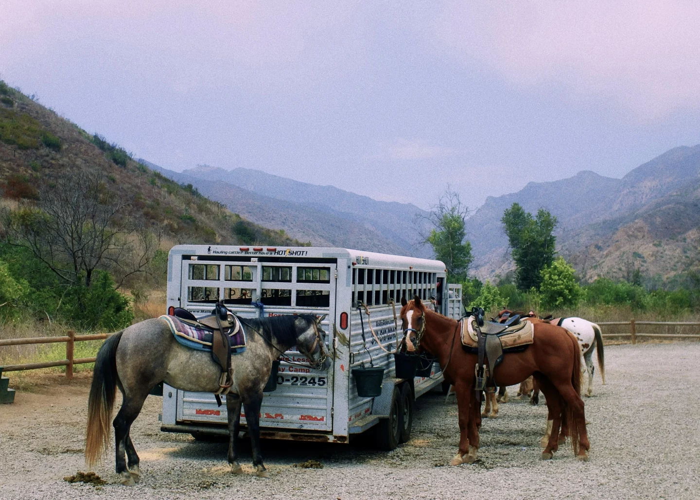 horse trailer parked for tour in malibu