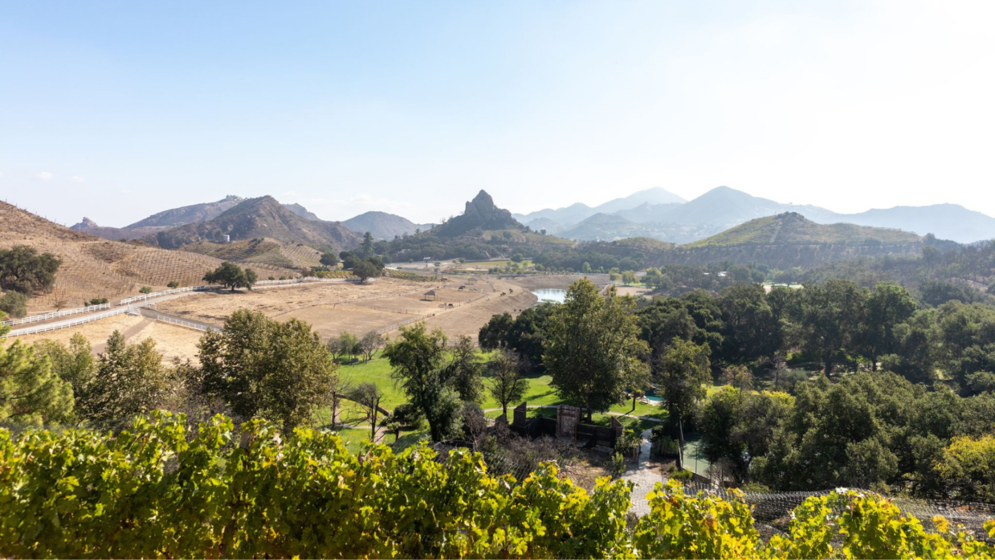 scenic malibu wine country with vineyards in the foreground and mountains in the background