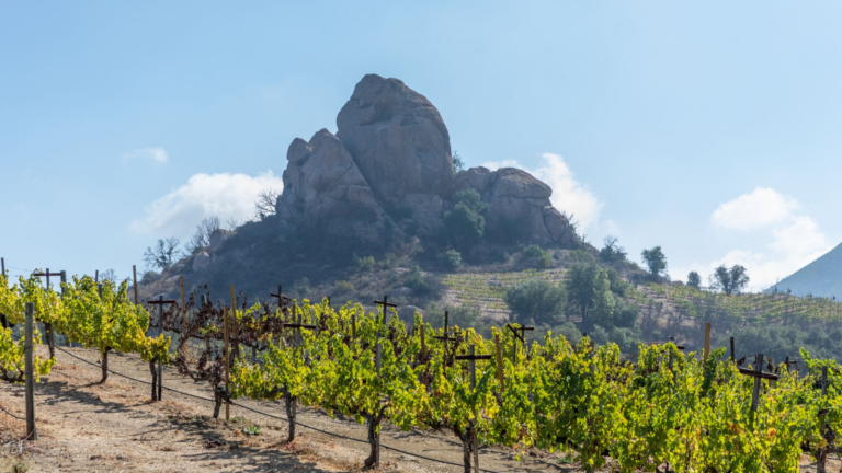 scenic malibu wine country vineyard with rocky mountain in the background