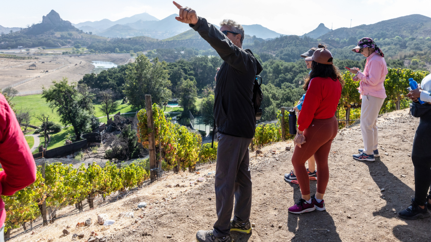 group of people on a malibu wine hike vineyard tour at saddlerock ranch