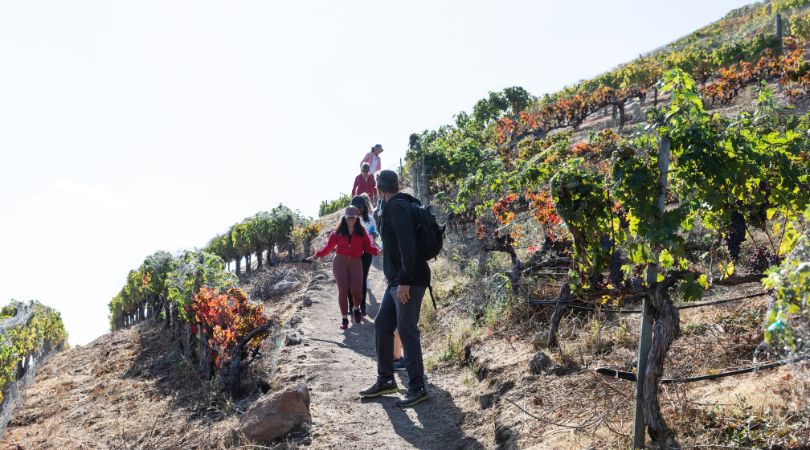 group of hikers enjoying a Malibu Wine Hike