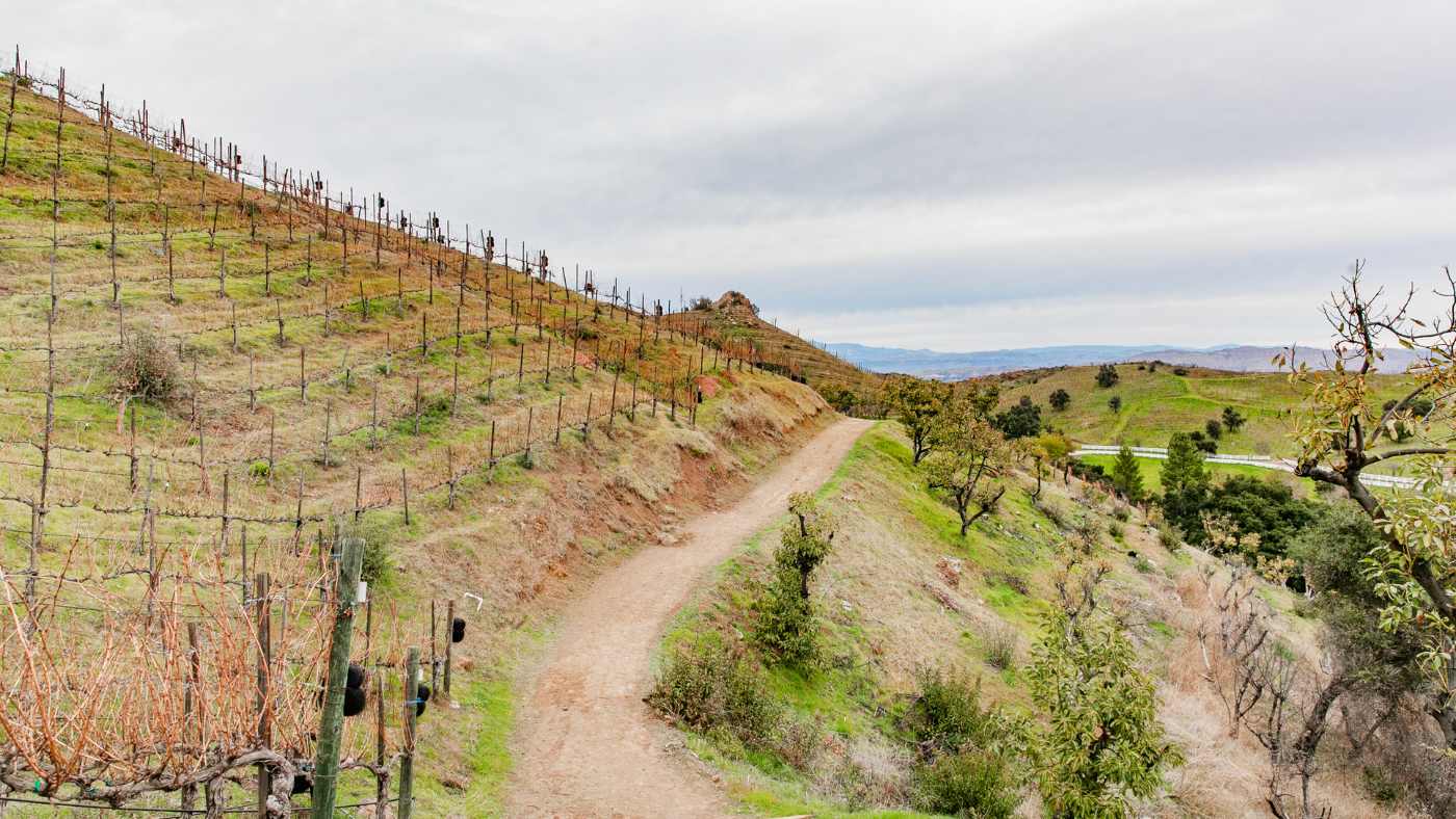 Best Hikes in Southern California: Scenic Trails Unveiled