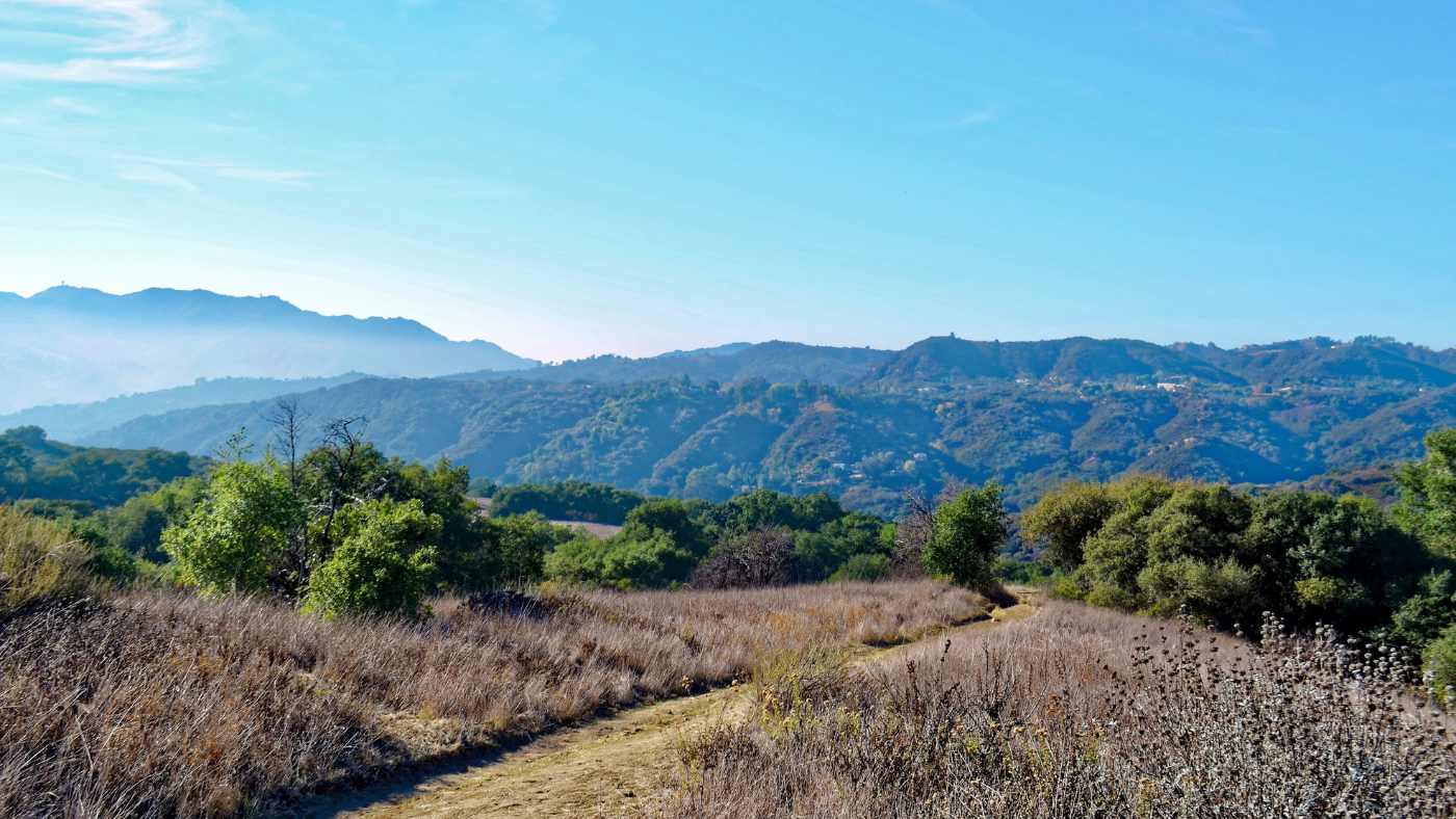 Topanga State Park