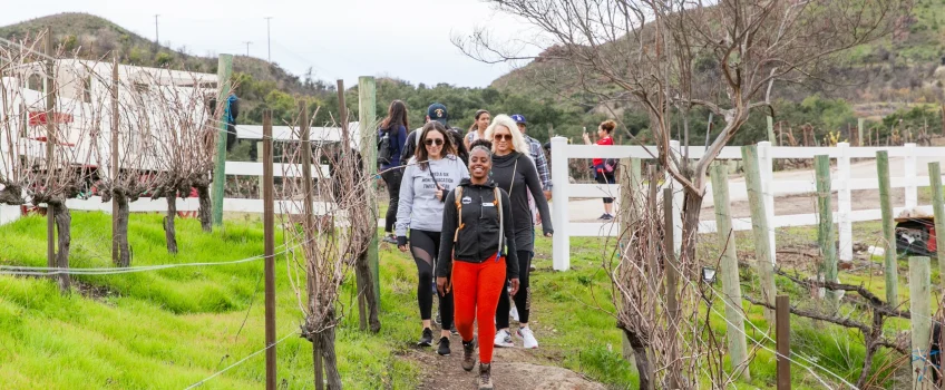 corporate-group-on-team-building-wine-hike